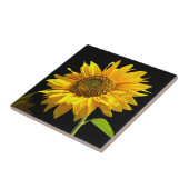 Carreau Tournesol lumineux sur l'arrière - plan noir (Côté)