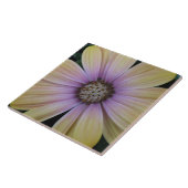 Carreau Tournesol rose pâle (Côté)