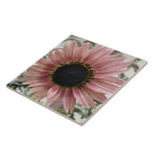 Carreau Tournesol rose pâle (Côté)