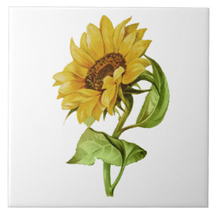 Carreau Tournesol Vintage Floral Rustique