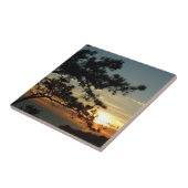 Carreau Tourrey Pine Sunset I California Paysage (Côté)