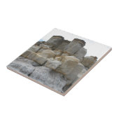 Carreau Tours rocheuses (Côté)