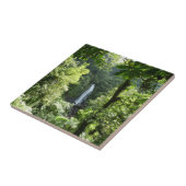 Carreau Trafalgar Falls Tropical Rainforest Photographie (Côté)