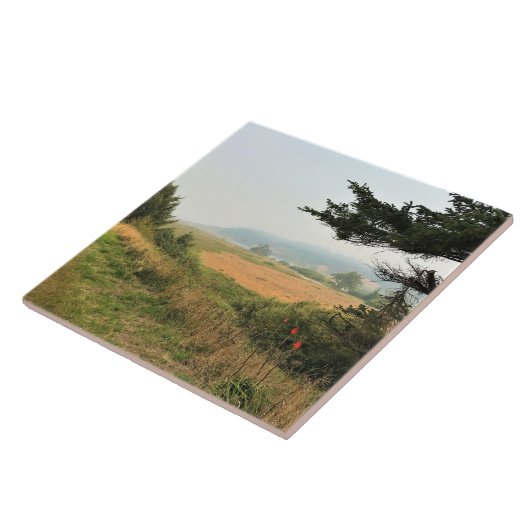 Carreau Trail at Cape Blanco (Côté)