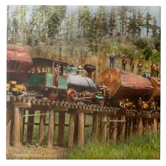 Carreau Train - Exploitation forestière - La décharge du m (Devant)