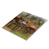 Carreau Train - Exploitation forestière - La décharge du m (Côté)