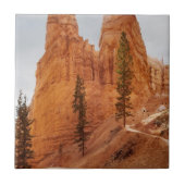 Carreau Traînée de boucle de Navajo, canyon de Bryce (Devant)