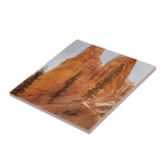 Carreau Traînée de boucle de Navajo, canyon de Bryce (Côté)