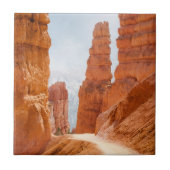 Carreau Traînée de parc national de canyon de Bryce (Devant)