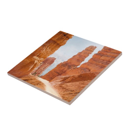 Carreau Traînée de parc national de canyon de Bryce (Côté)