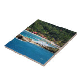 Carreau Tranquil Island Paradise Labadee Haïti (Côté)