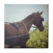 Carreau Transport par cheval (Devant)