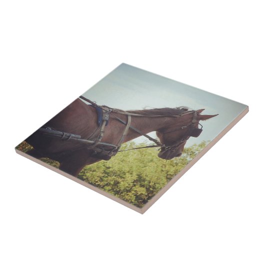 Carreau Transport par cheval (Côté)