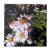 Carreau Travail Bee Daisies (Devant)