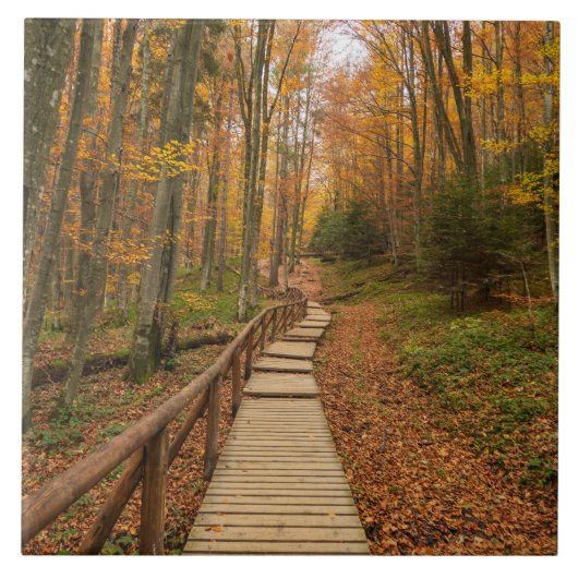 Carreau Traverser la forêt d'automne. (Devant)
