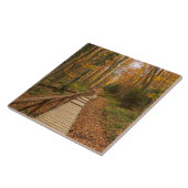 Carreau Traverser la forêt d'automne. (Côté)
