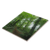 Carreau Traverser le Carrelage de la forêt verte (Côté)