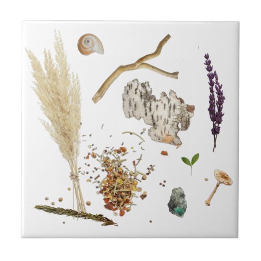 Carreau Treasures Ceramic Tile (Devant)