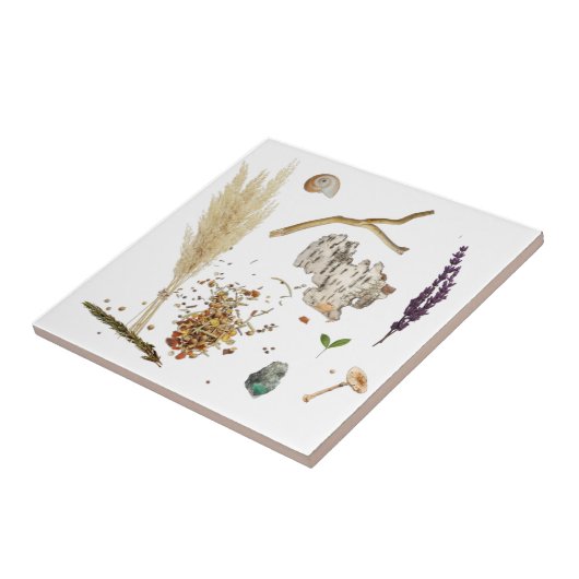 Carreau Treasures Ceramic Tile (Côté)