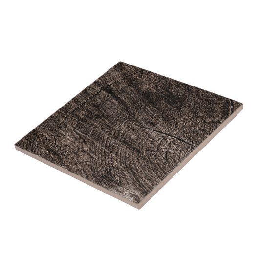 Carreau Tree Stump (Côté)