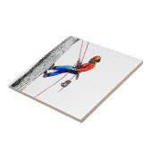 Carreau Tree Surgeon Arborist (Côté)