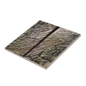 Carreau Tree with centre cut (Côté)