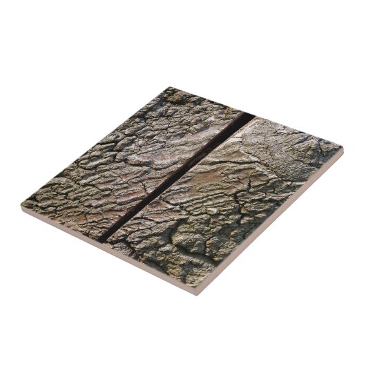 Carreau Tree with centre cut (Côté)