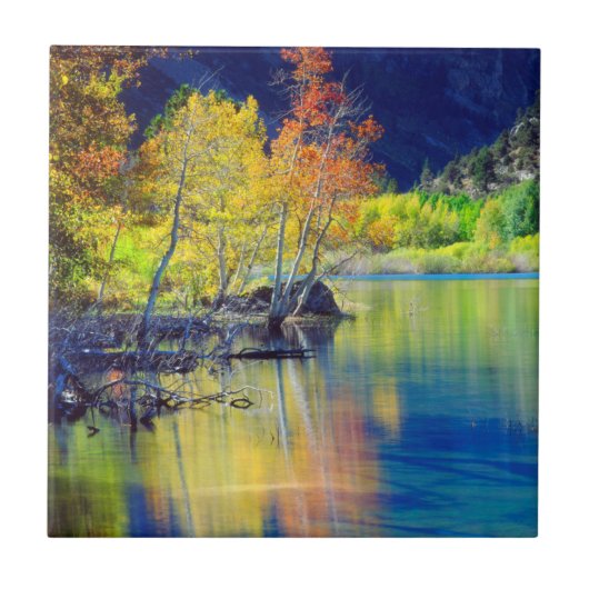 Carreau Tremble d'automne se reflétant dans le lac Grant (Devant)