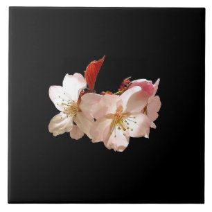 Carreau Trépied de fleurs de cerisier