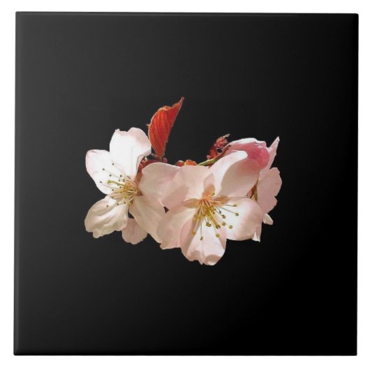 Carreau Trépied de fleurs de cerisier (Devant)
