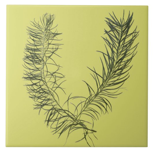 Carreau Trésor de l'été sur un carrelage en céramique - B (Devant)