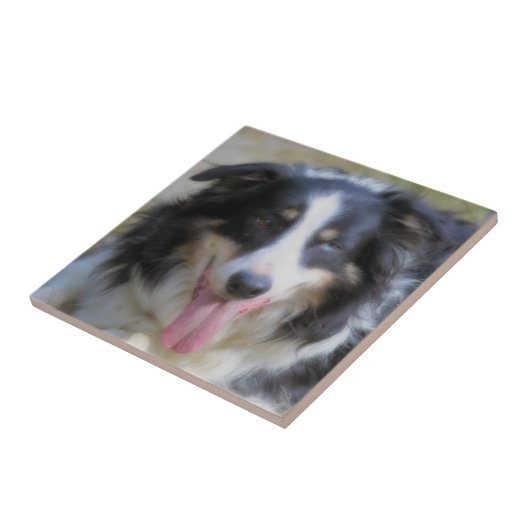 Carreau Tri Collision de la frontière (Côté)