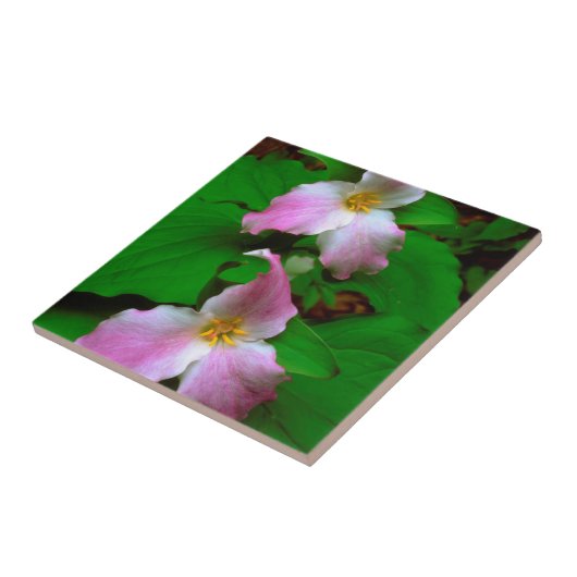 Carreau Trillium Fleur sauvage (Côté)