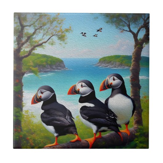 Carreau Trio côtier : Trois Puffins à la plage d'Oils (Devant)
