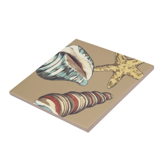 Carreau Trio Shell sur Khaki (Côté)