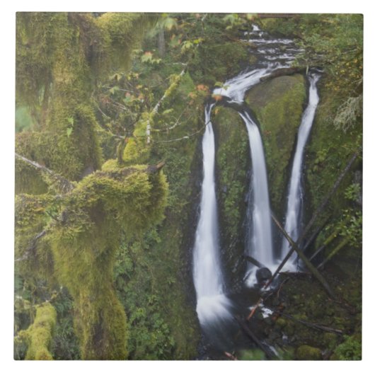 Carreau Triple Falls, Columbia River Gorge (Devant)