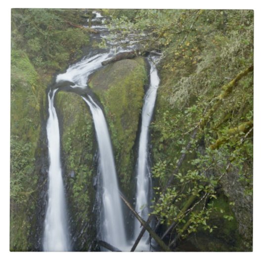 Carreau Triple Falls, gorge du Columbia (Devant)