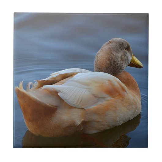 Carreau Trivet de canard (Devant)