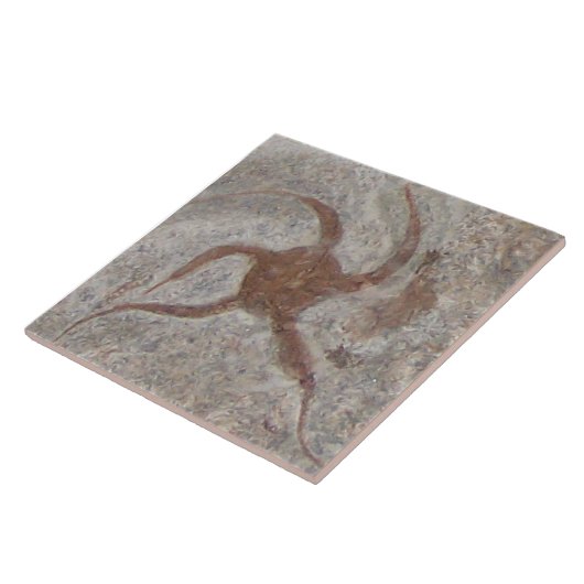 Carreau Trivet de tuiles Fossil Starfish (Côté)