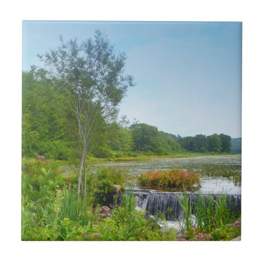 Carreau Trivet du lac Quanipaug (Devant)