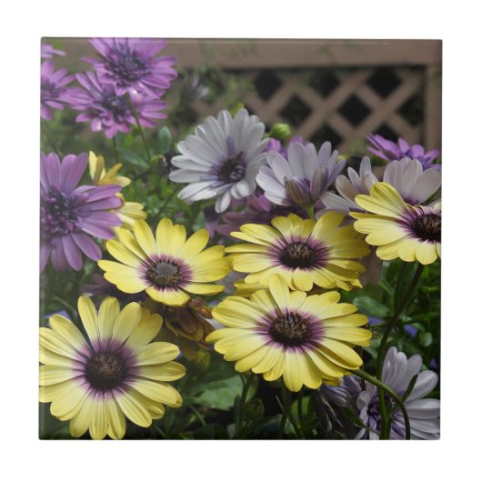 Carreau Trivet en mosaïque violet et jaune (Devant)