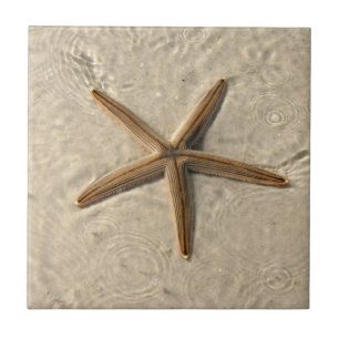 Carreau Trivet en tuile de sésame en étoile
