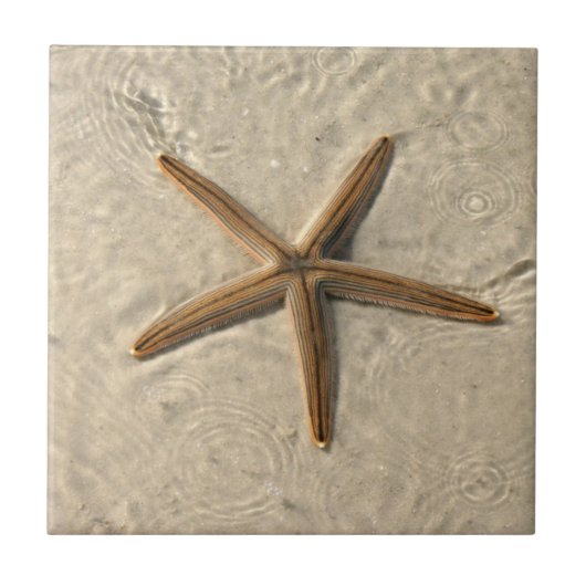Carreau Trivet en tuile de sésame en étoile (Devant)