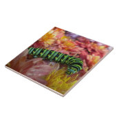 Carreau Trivet en tuile Nosy Caterpillar (Côté)