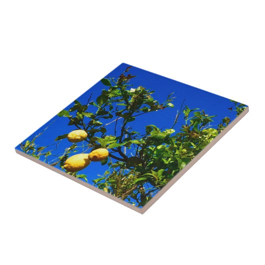Carreau Trois citrons siciliens (Côté)