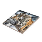 Carreau Trois Cubes De Tigre En Jeu (Côté)