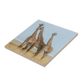 Carreau Trois girafes en pose (Côté)