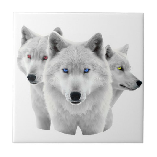 Carreau Trois Loups blancs (Devant)