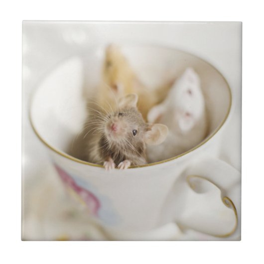 Carreau Trois petites souris (Devant)