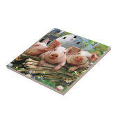 Carreau Trois petits cochons (Côté)